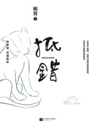 cover image of 抵错